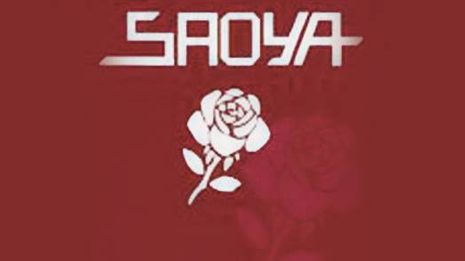 Saoya référence TSI ERP